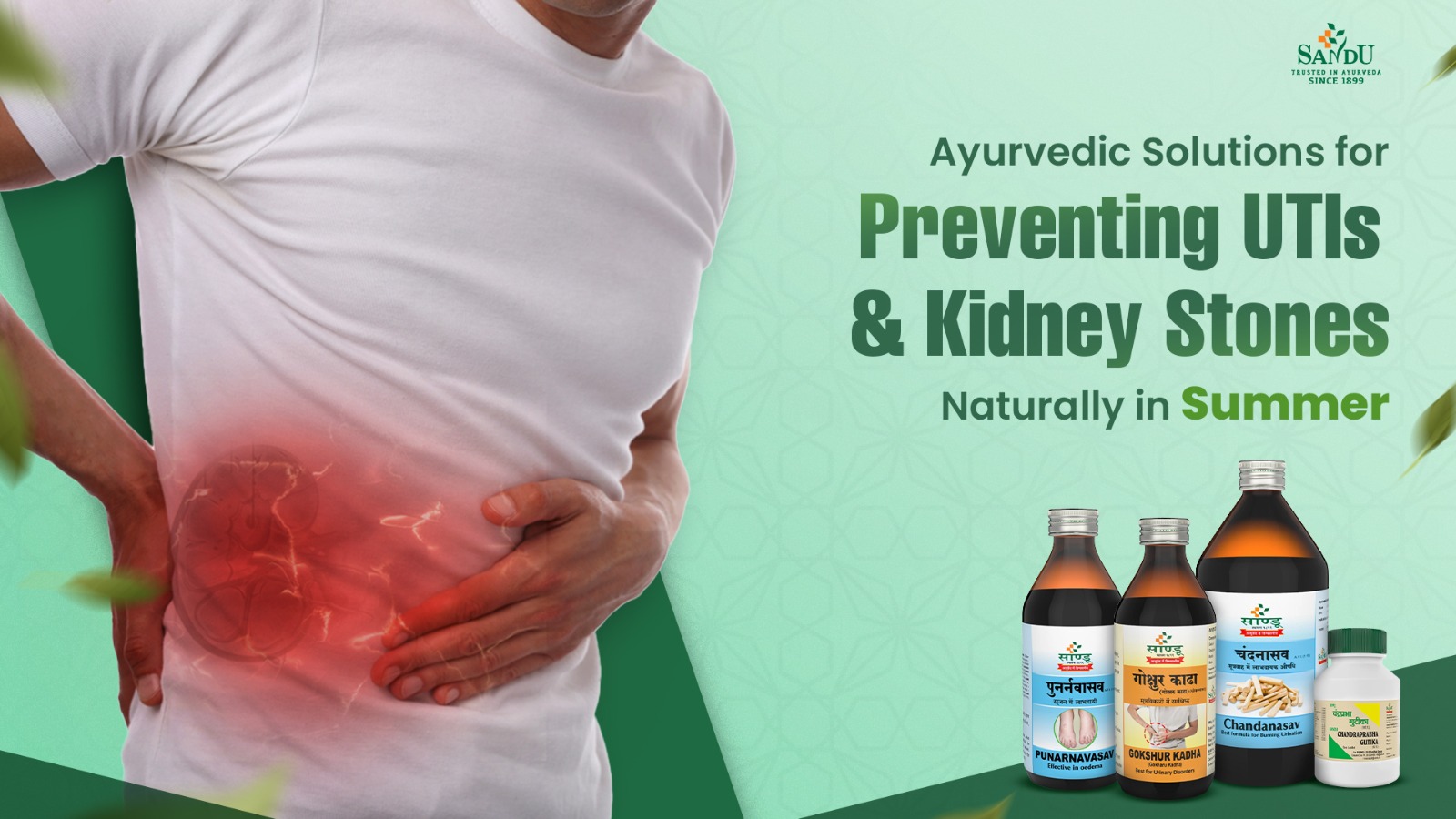 Ayurvedic solutions for kidney health